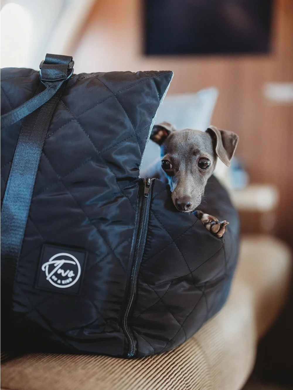 Pet Car Seat Carrier for Dogs - Black